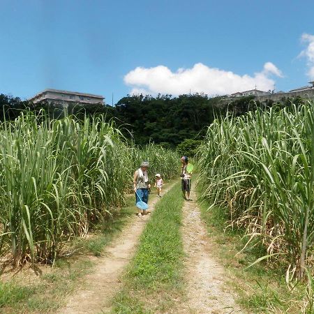 Okinawa Hostel Yanbaru Fukuro Nago Dış mekan fotoğraf