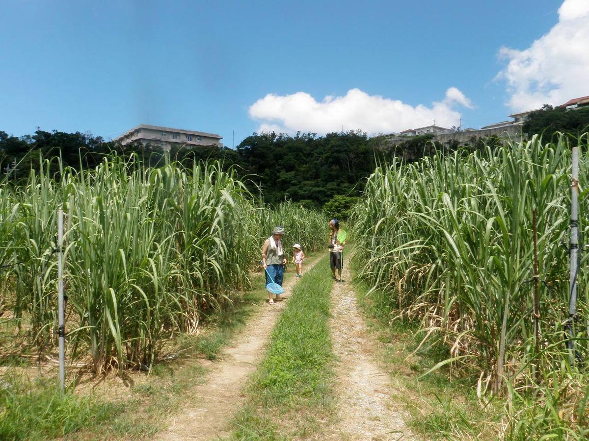 Okinawa Hostel Yanbaru Fukuro Nago Dış mekan fotoğraf