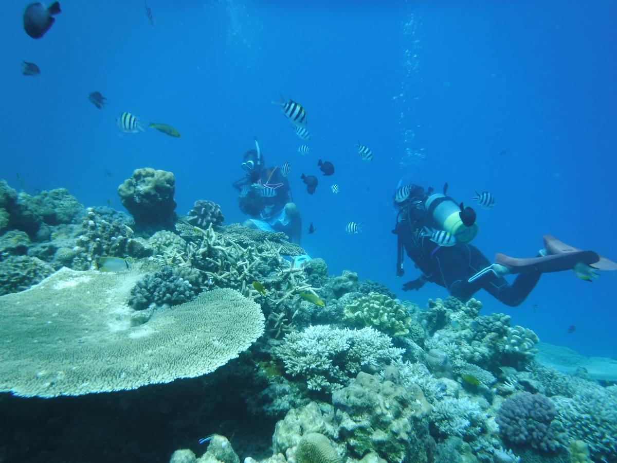 Okinawa Hostel Yanbaru Fukuro Nago Dış mekan fotoğraf